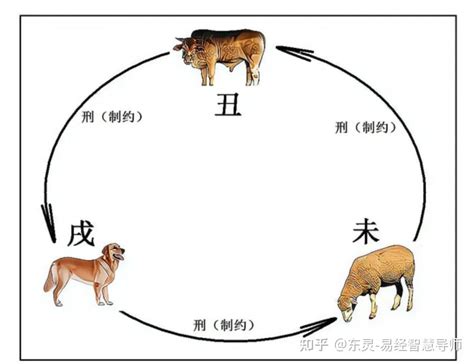 丑未戌|地支三刑详解